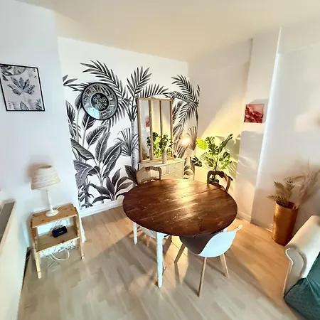 Cosy Tropic - 2Ch - Parking & 2 Balcons Appartement Pau Buitenkant foto